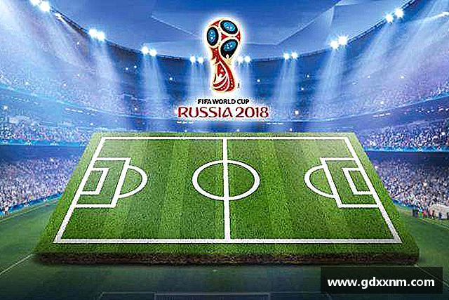 了解bevictor官网